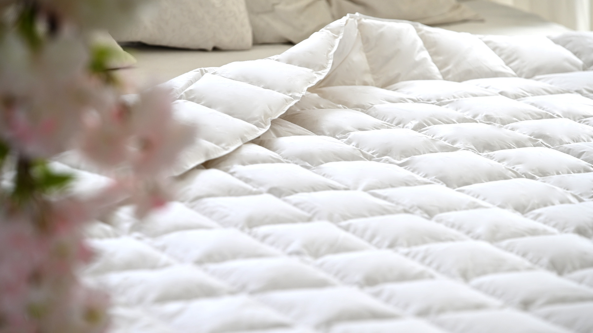 Die Bettdecken-Kollektion — Aura Down Bedding
